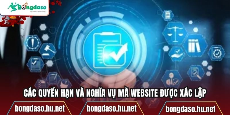 Các quyền hạn và nghĩa vụ mà website được xác lập