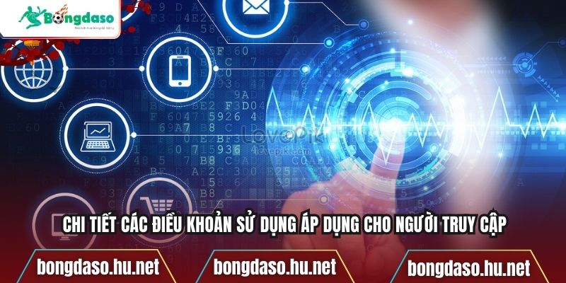 Chi tiết các điều khoản sử dụng áp dụng cho người truy cập